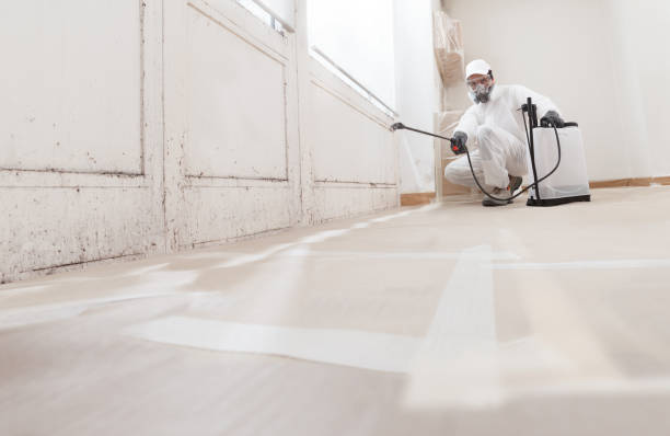 24/7 Emergency Mold Removal experts in Manchester, VA