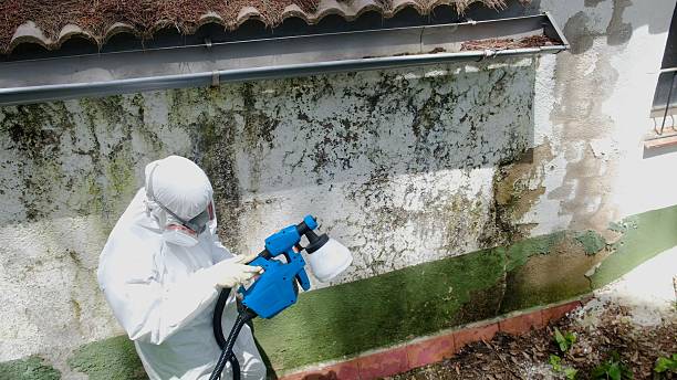 Top rated local Mold Removal specialists in Manchester, VA